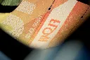 Flow_close-up_photo by Craig Kolesky.webp